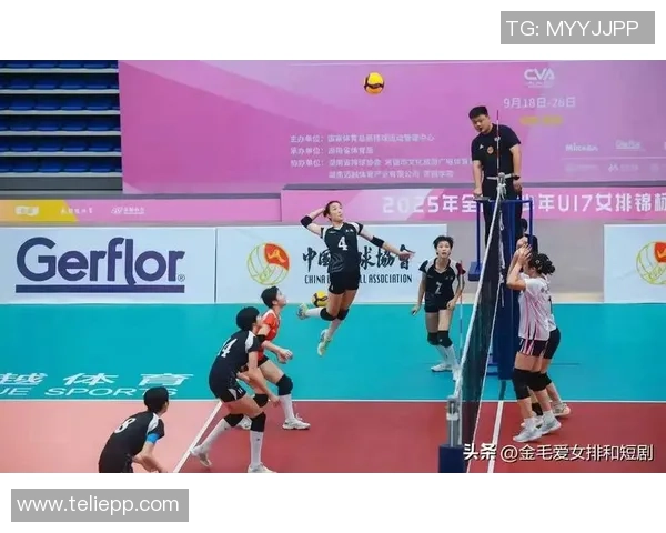 广州排球队实力飙升创造排球力量新高峰